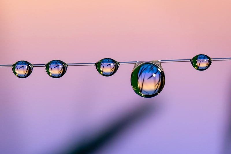 Boho Living Room with Plush Throw